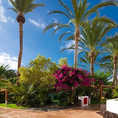 Duplex 3 Bed In Americas By Dream Homes Tenerife Apartment